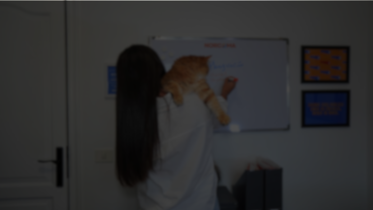 Qué debe tener un buen perfil de Instagram.