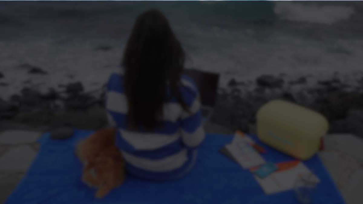 Gestión de redes sociales.